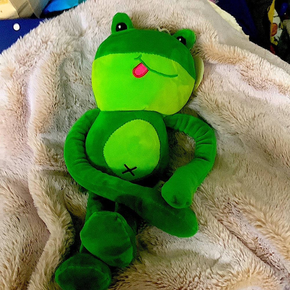 Stuffed Green Frog 🐸 NWT